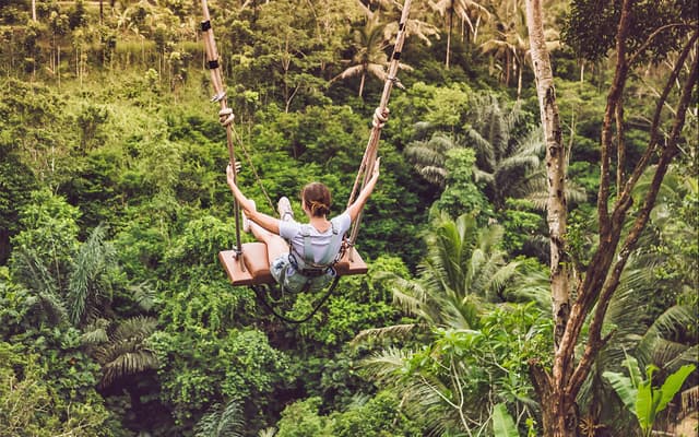 Person on a jungle swing soaring over the lush green rainforest valley in Bali
