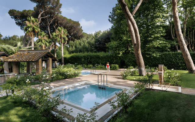 Tranquil garden swimming pool framed by pine trees at a Mediterranean wellness retreat near Fiumicino