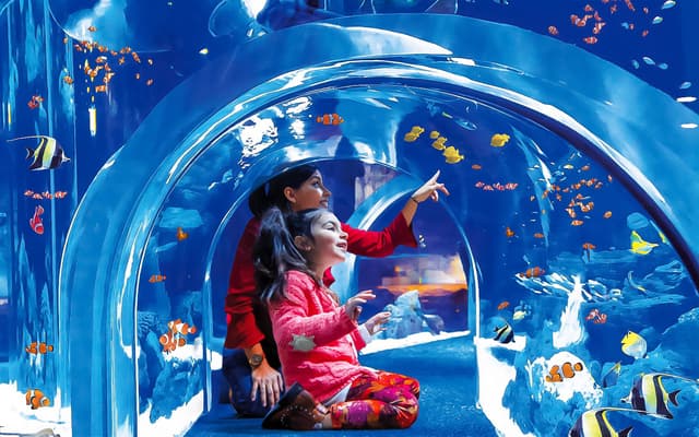 Children watching tropical fish in an aquarium tunnel in Las Palmas de Gran Canaria