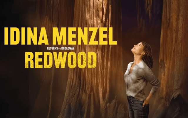 Idina Mezel returns to Broadway in Redwood