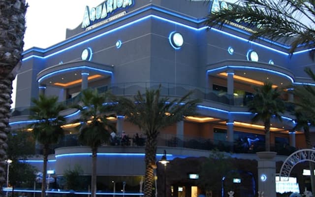 Downtown Aquarium Houston: Entry Ticket