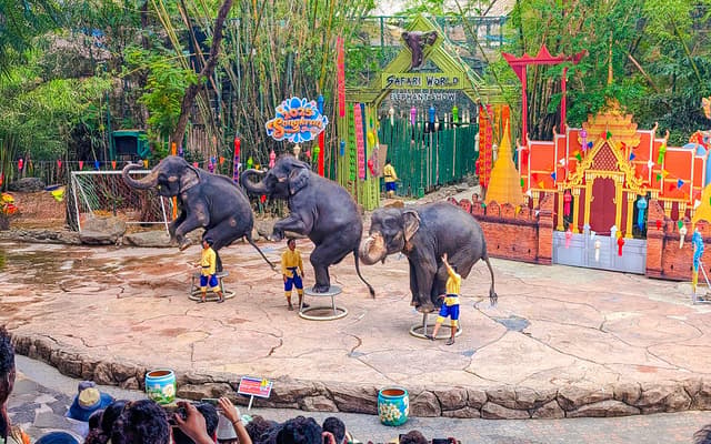Safari World Tickets with Optional Lunch