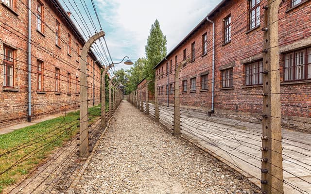 From Krakow: Auschwitz-Birkenau Guided Tour with Transfers