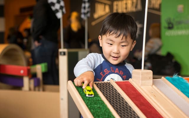 Go City Chicago All-Inclusive Pass: Choose from 39 Attractions
