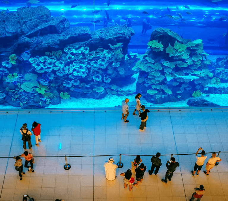 Visitors at the giant Dubai Mall Aquarium viewing tank with reef and fish