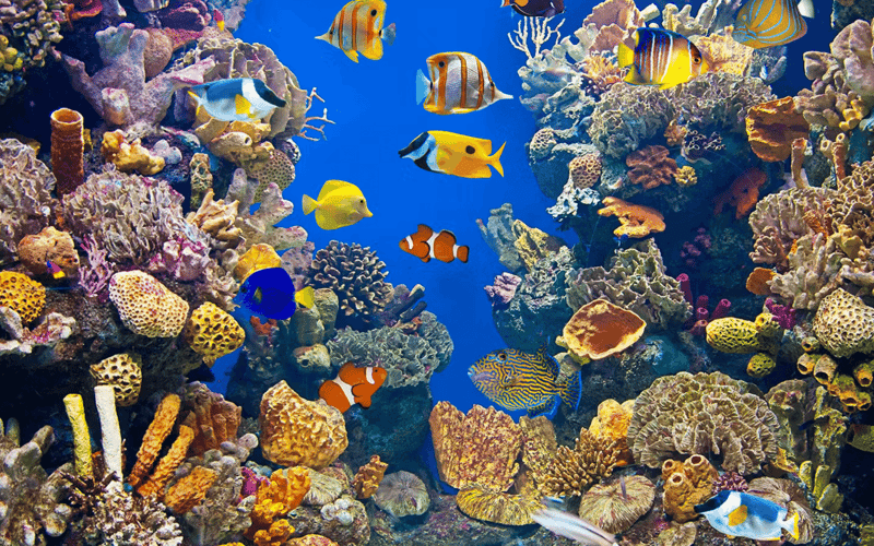 Barcelona Aquarium