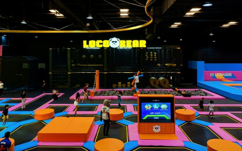 Loco Bear - The Ultimate Entertainment Hub