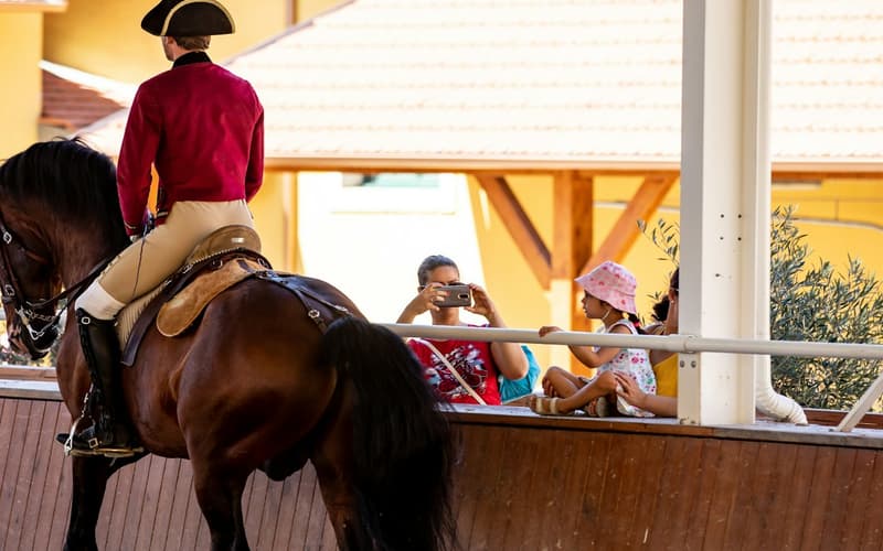 Portuguese School of Equestrian Art