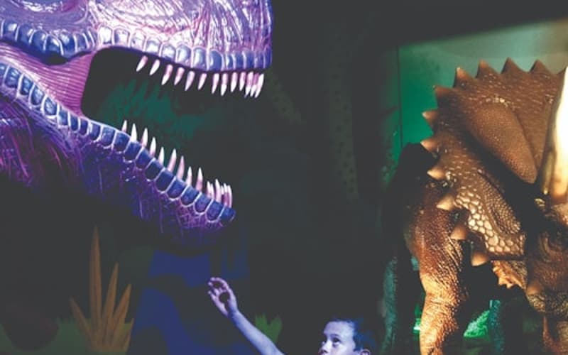Dinosaur Outpost