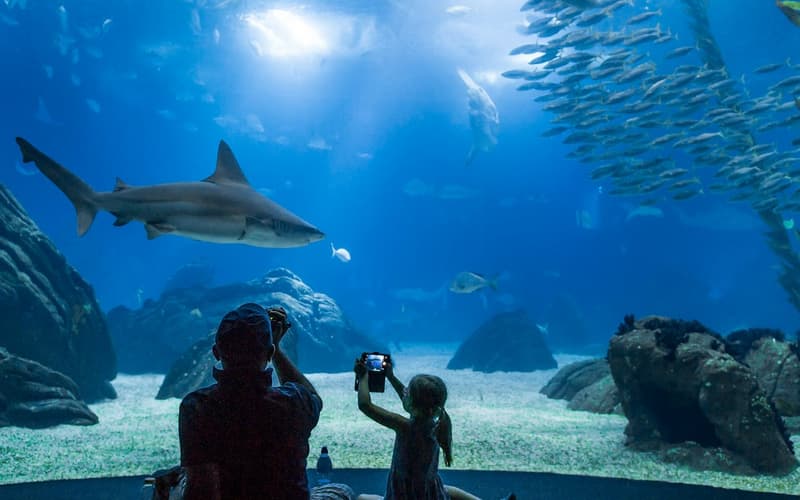 Oceanário de Lisboa