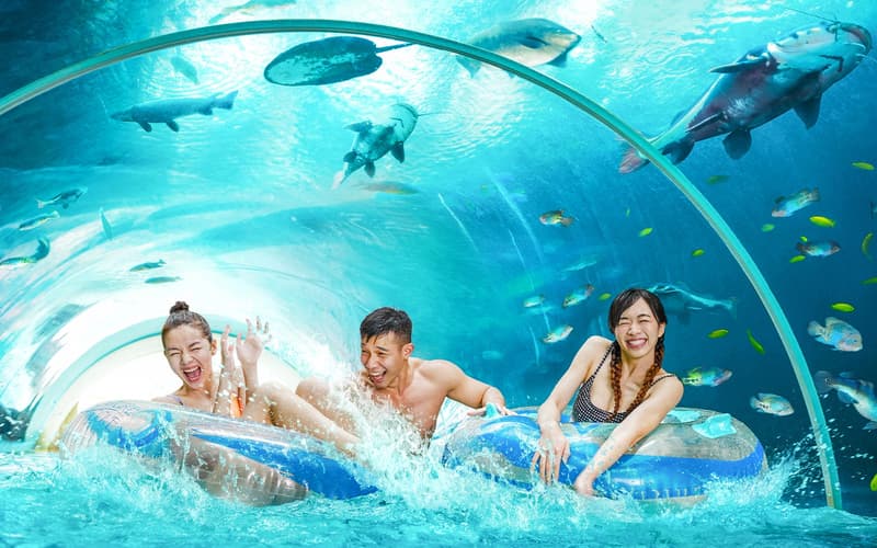 Adventure cove waterpark