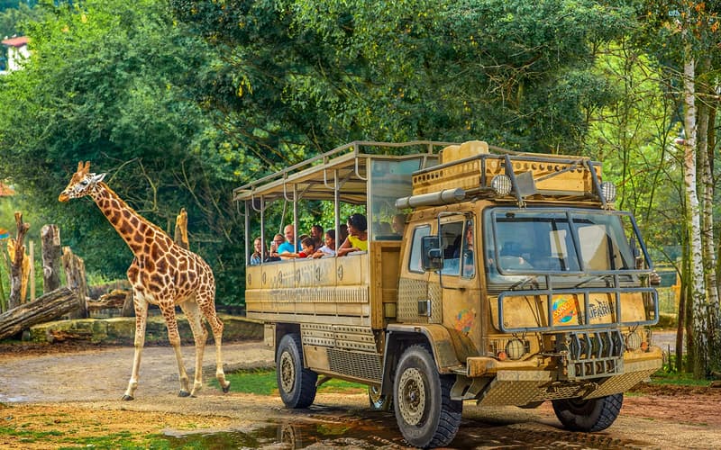 Chessington World of Adventures Resort