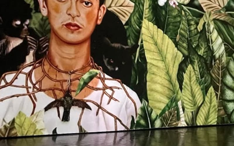 Frida Kahlo Exhibition Amsterdam