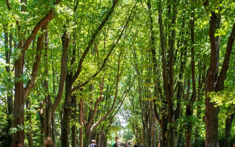Serralves Foundation