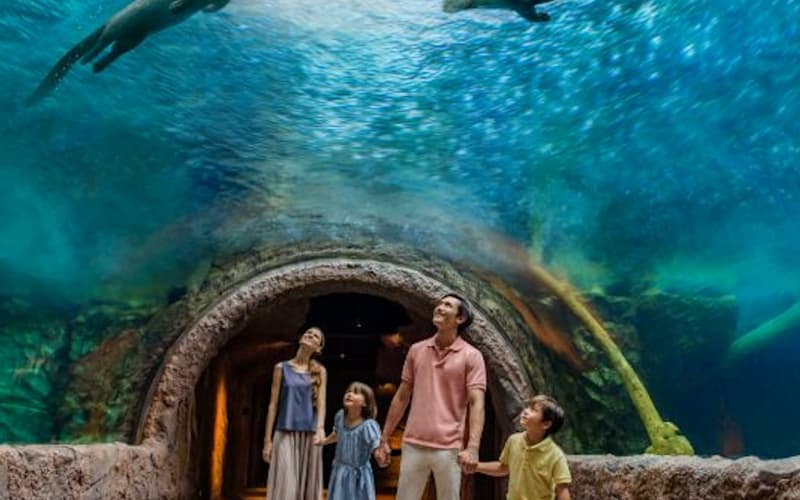Singapore River Wonders