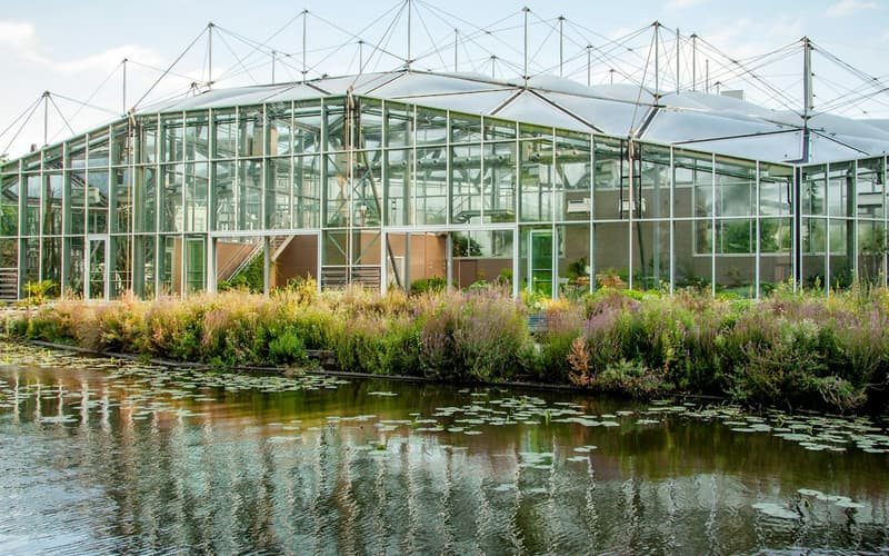 Hortus Botanicus