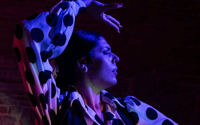 Las Brujas Flamenco Club