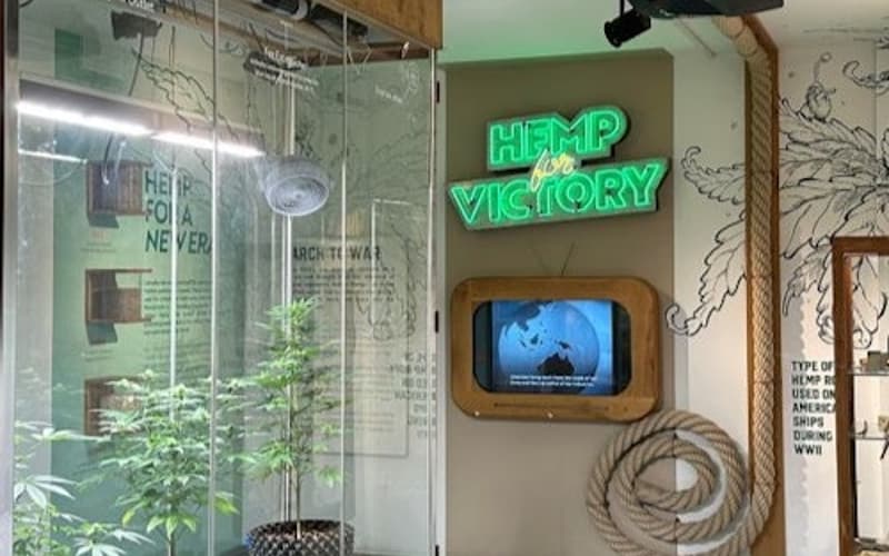 Cannabis Museum Amsterdam