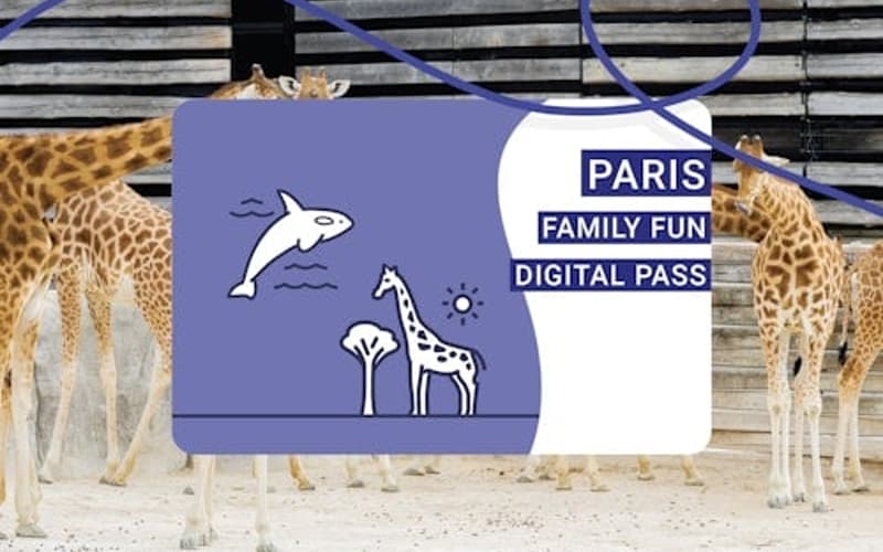 Paris City Cards