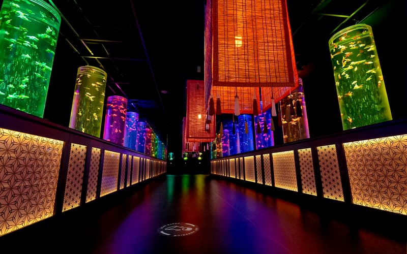 ART AQUARIUM MUSEUM