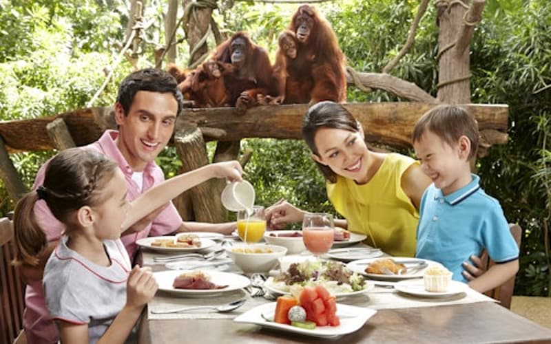 Singapore Zoo