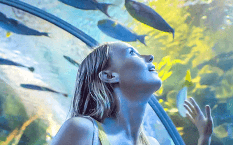 Dubai Aquarium & Underwater Zoo