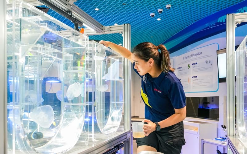 Singapore Oceanarium