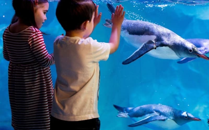 SEA LIFE London