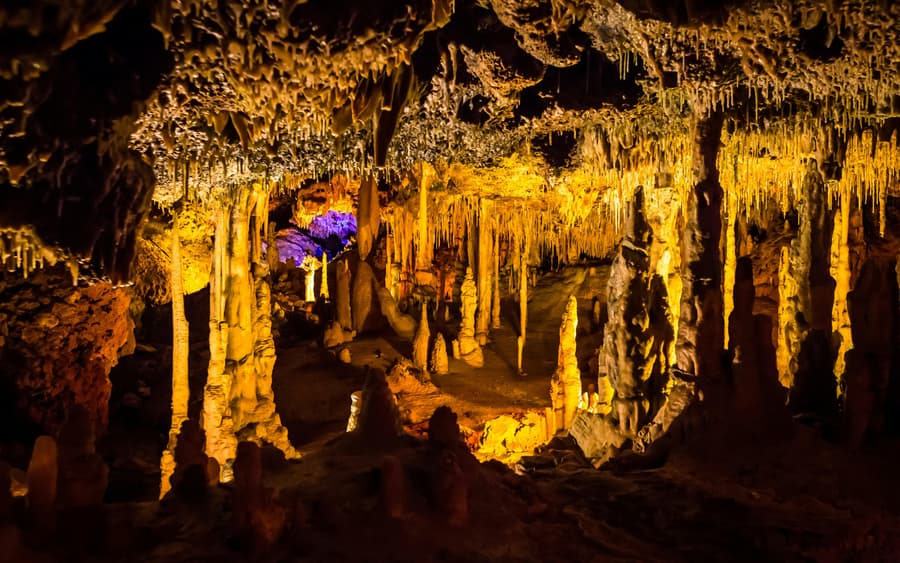 From Palma: Hams' Caves & Porto Cristo Half-Day Trip