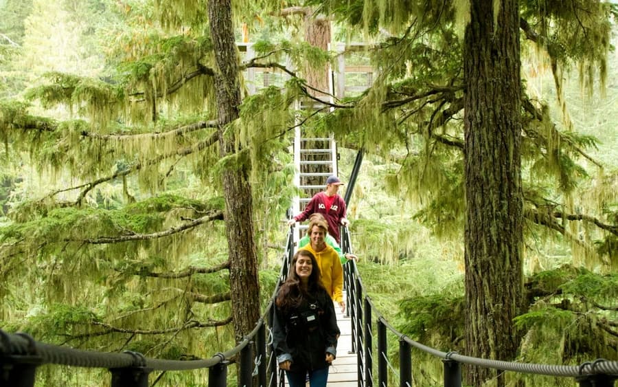 Whistler ZipTrek Ecotours: TreeTrek Adventure