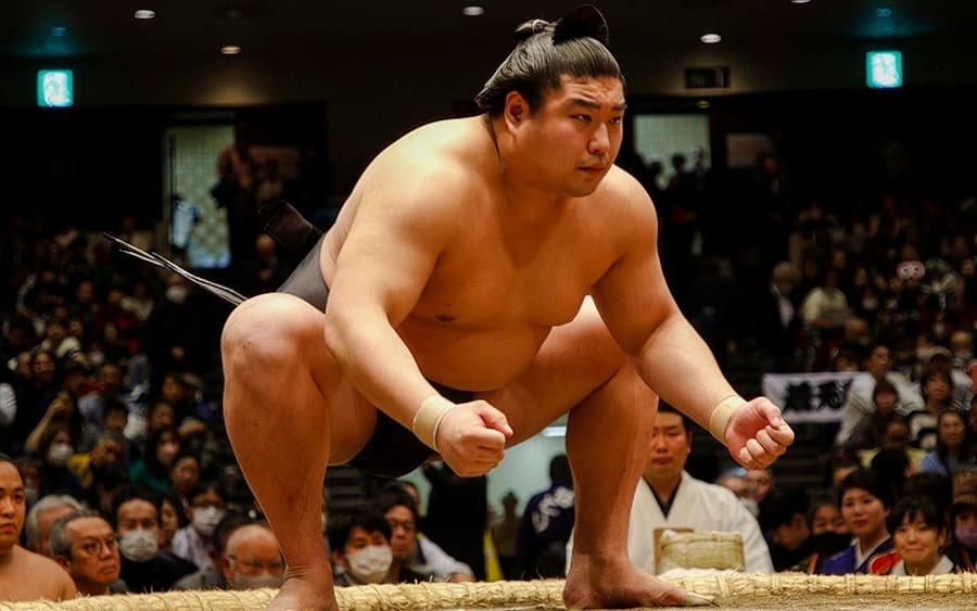 Grand Sumo Tournament with Reserved Seats & Expert English Guide · Ryōgoku Kokugikan