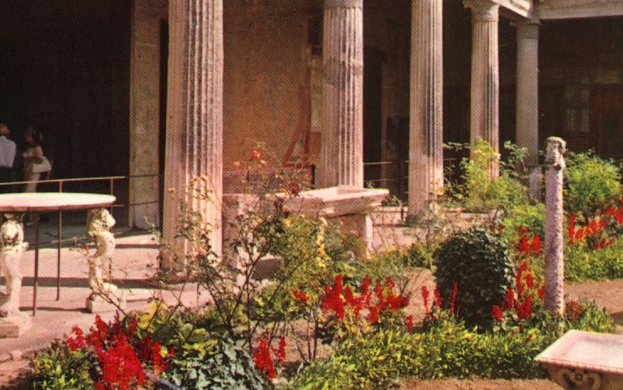 Pompeii: Day Trip From Naples