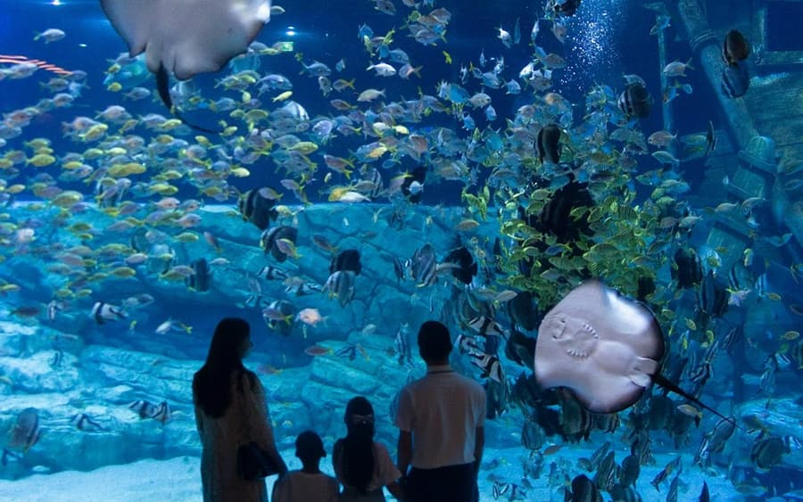 Lotte World Aquarium Hanoi: Entry Ticket