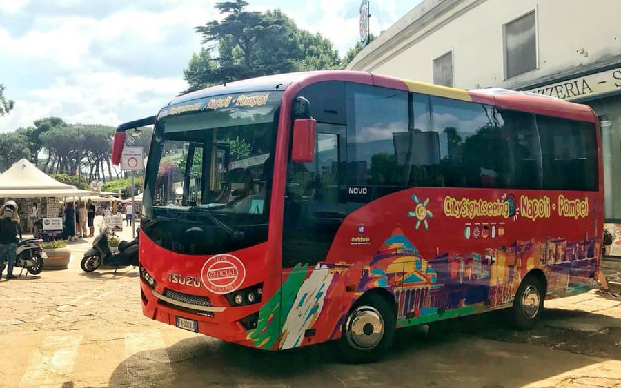 Transportation Only: Roundtrip by Shuttle Bus from Naples to Pompeii