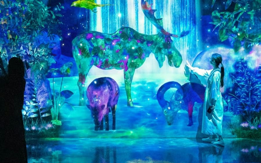teamLab Forest Fukuoka: Entry Ticket
