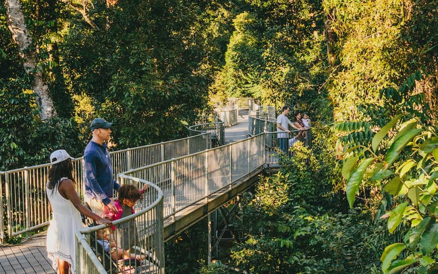 Mamu Tropical Skywalk: Entry Ticket