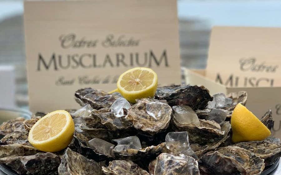 Musclarium: Route of the Mussel Farms