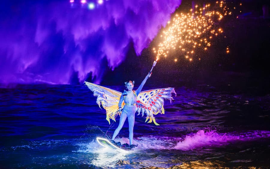 Symphony of the Sea Show With Dinner Options