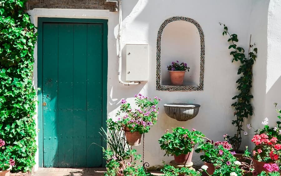 Viana Patios & Palace: Guided Tour