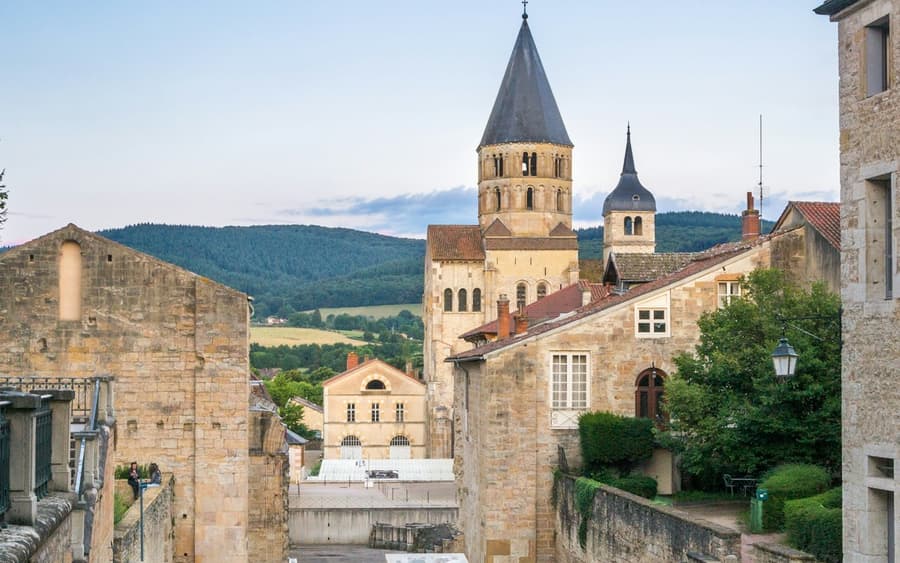 Cluny Abbey & Museum: Entry Ticket