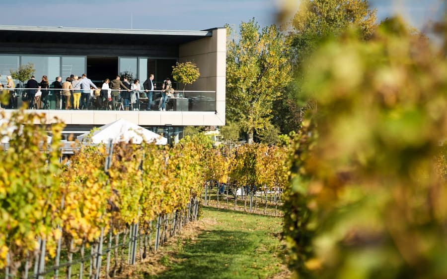Esterházy Winery Experience