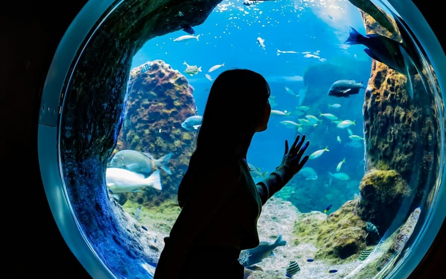 Enoshima Aquarium: Entry Ticket