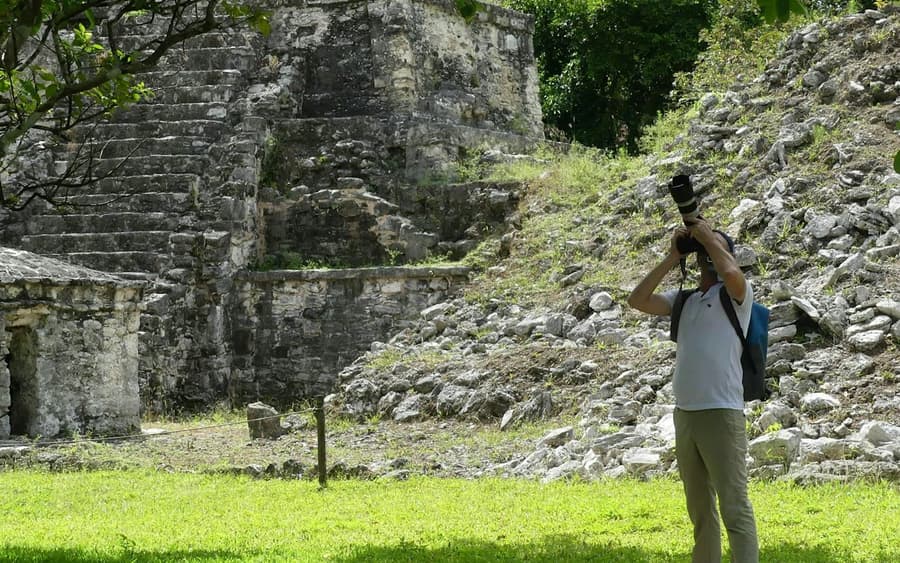 Muyil: Guided Bird Watching Tour + Breakfast + Transfer