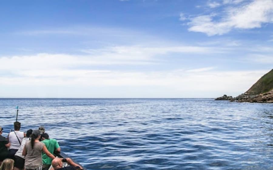 Pulau Duiker: Pelayaran Melihat Anjing Laut