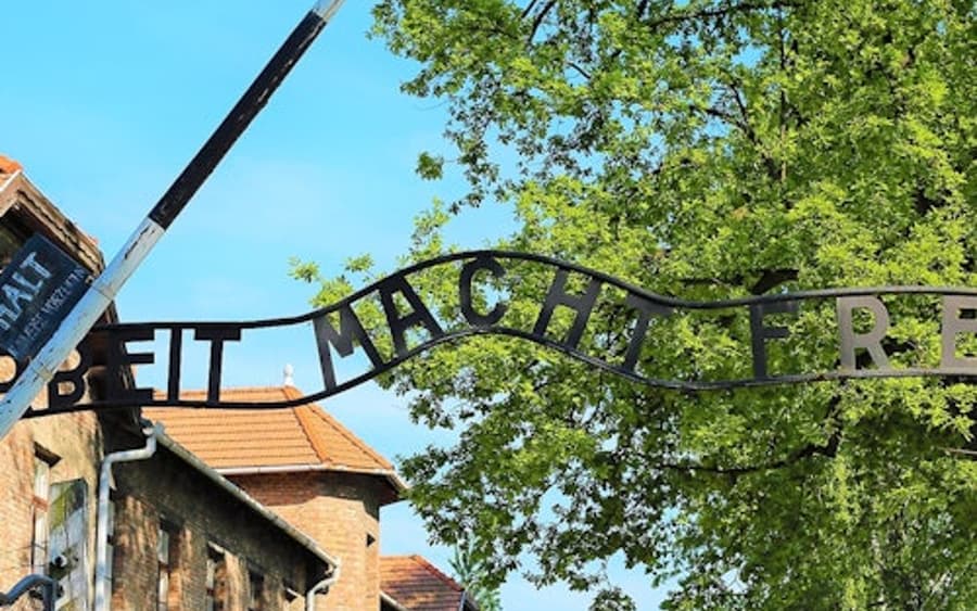 Auschwitz-Birkenau: Visita Guiada + Transport + Dinar
