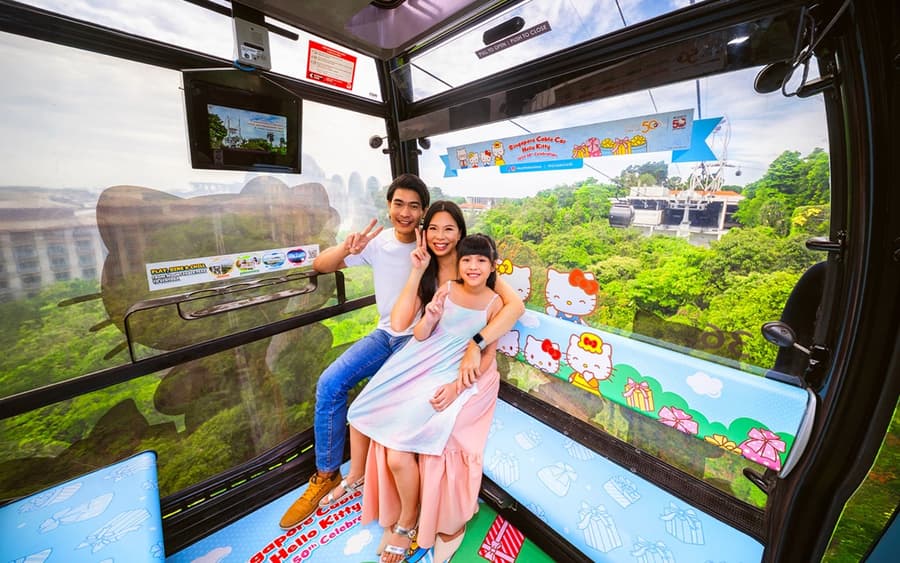 Singapore Cable Car SkyPass with Meals at Arbora Cafe
