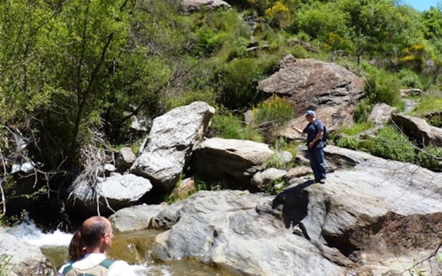 Sierra Nevada: Guided Tour from Granada