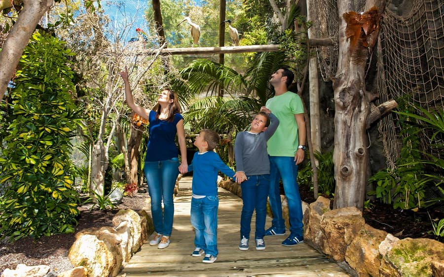 Tenerife Jungle Park Tickets