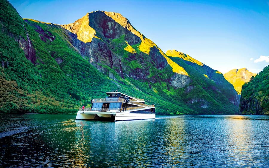 From Bergen: Guided Day Tour of Flåm & Stegastein Viewpoint with Nærøyfjord Cruise