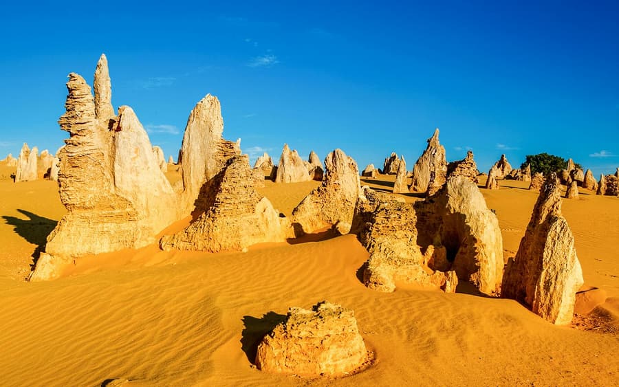 Výlet do Pinnacles, pozorování zvířat a Swan Valley s přepravou tam a zpět a obědem